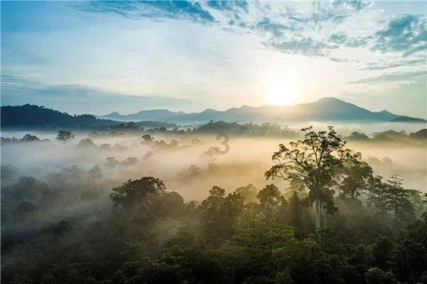 组图|直击海南“村VA”迎春赛现场 “零距离”感受精彩比赛