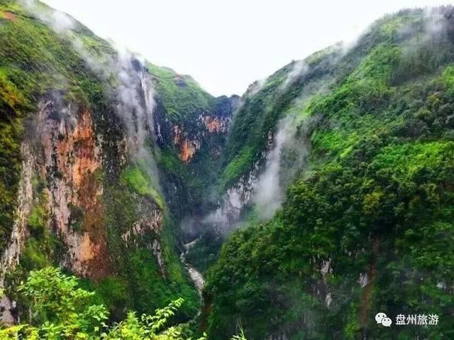 现在的家里适合养一些什么样的花？游戏画面